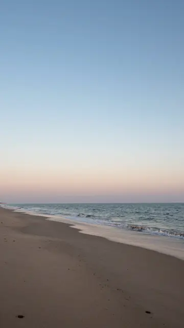 A quiet sandy beach stretches beside gentle ocean waves under a soft pastel dawn sky.