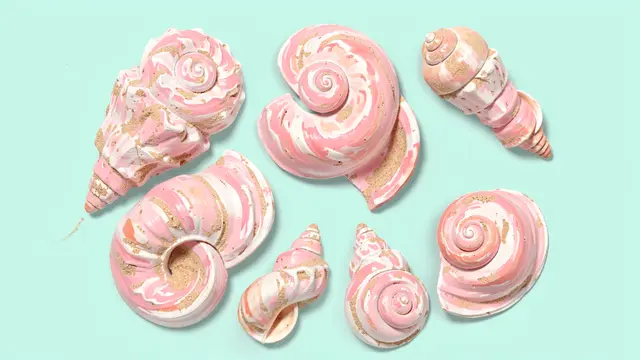 Arrangement of hand-painted spiral seashells in pink and sand tones resting on a pale aqua background