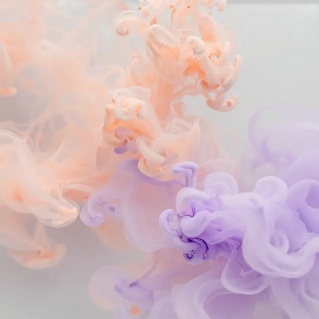 Soft peach and lilac ink swirls and curl gently as they disperse in clear water