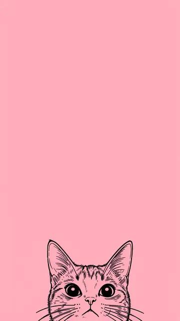 Black line art of a cat peeking up from the bottom edge on a solid pink background