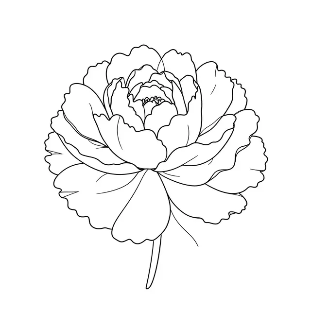 A clean black continuous line drawing of a ruffled peony blossom on a plain white background