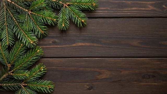 Fresh evergreen pine branches arranged along the left edge of dark wooden planks with empty copy space to the right.