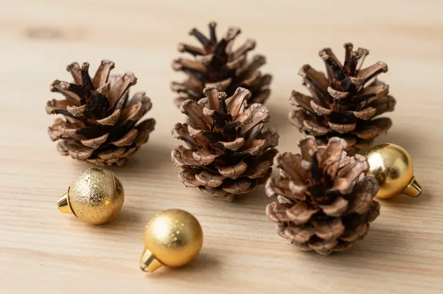 Dried pine cones and small shiny gold baubles rest on a light wooden table surface.
