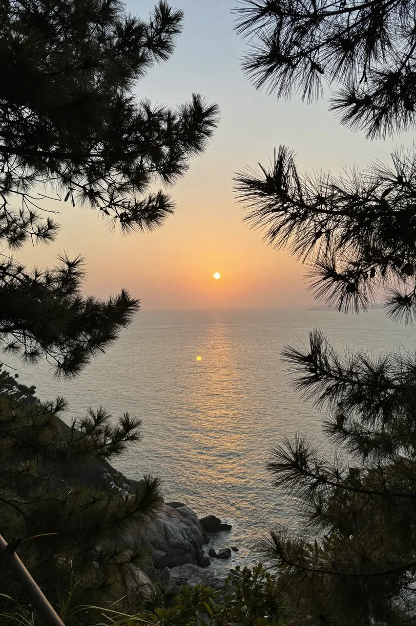 Setting sun over the calm sea, framed by silhouetted pine branches from a rocky cliff viewpoint