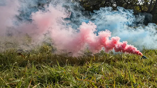 Wispy pink and blue colored smoke drifts across a sunlit summer grass meadow from a smoke grenade