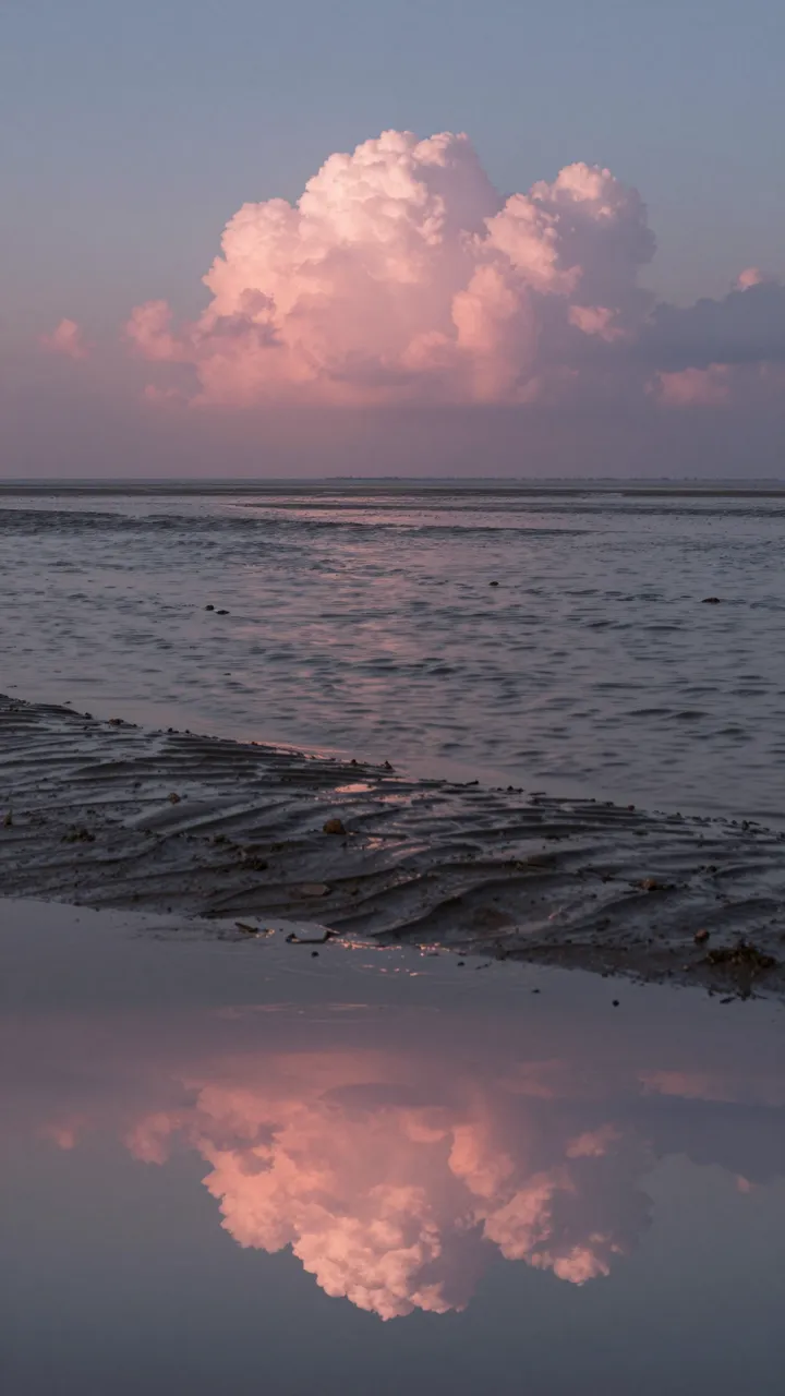 Fluffy pink dusk clouds mirror in the rippled water of coastal tidal flats