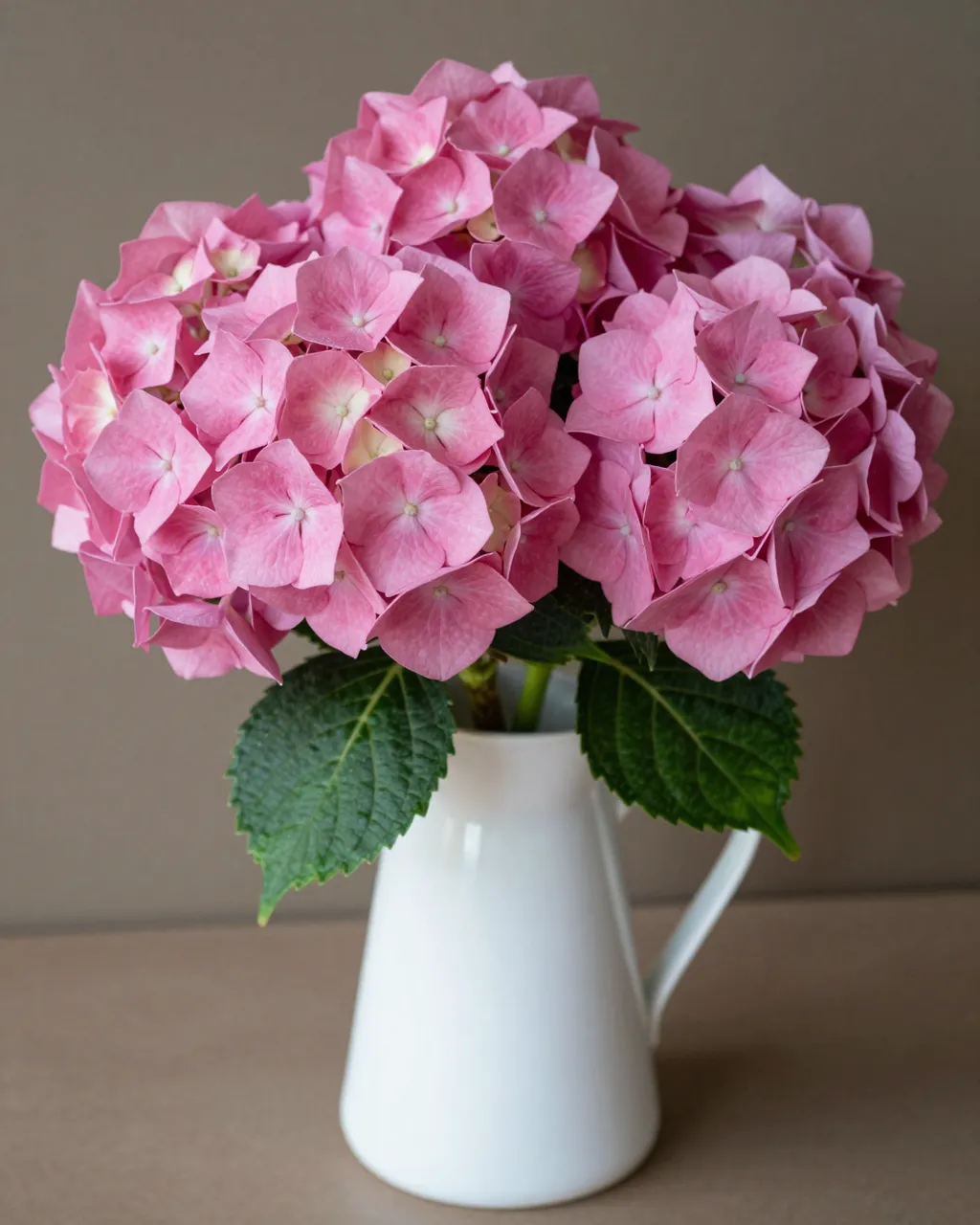 A full rounded pink hydrangea bouquet sits in a white ceramic pitcher on a neutral tabletop against a warm brown wall.