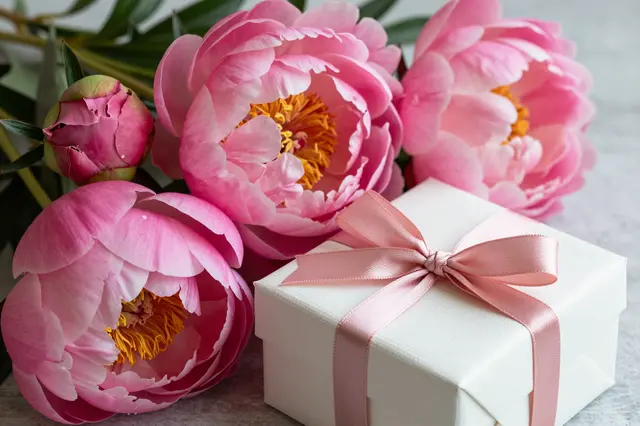 Open pink peony blooms, a peony bud, and a white gift box with a pink satin ribbon rest on a light gray surface