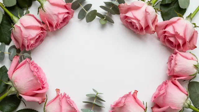 Top view of pink roses and eucalyptus arranged in a circular border around blank white copy space