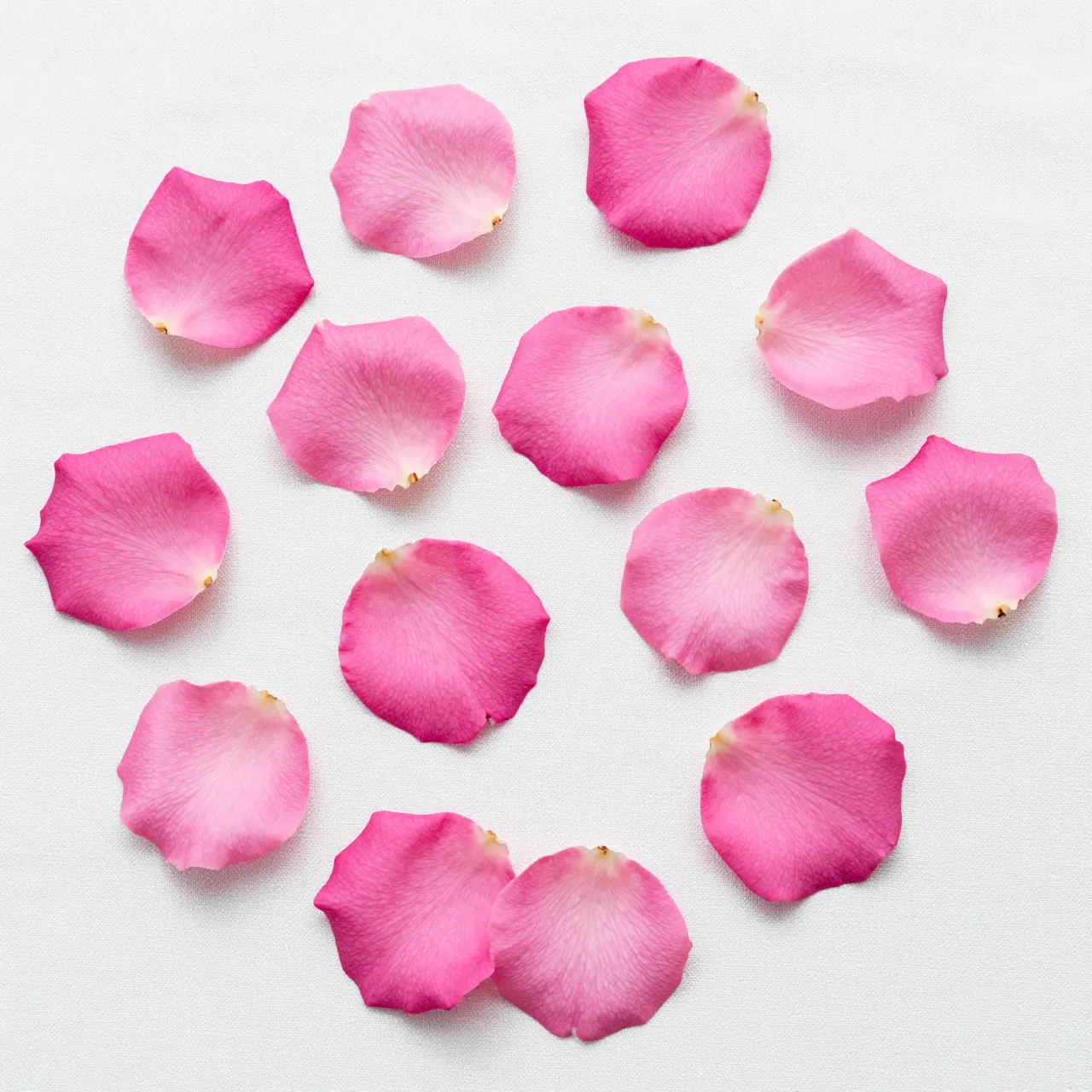 Top view of scattered pink rose petals arranged on a soft white linen surface