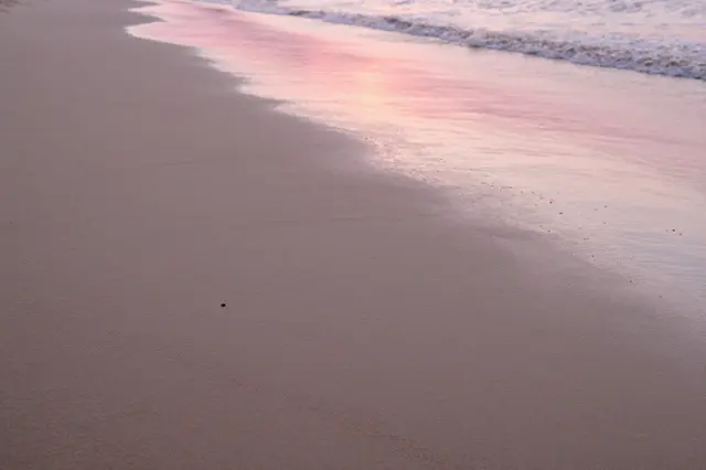 Soft pink sunrise light reflects on calm shallow water lapping smooth untouched beach sand
