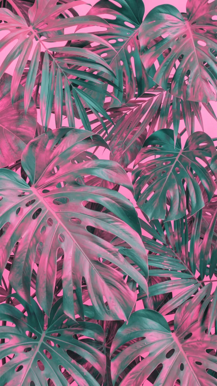 Overlapping monstera and palm leaves tinted teal and pink against a soft pink background