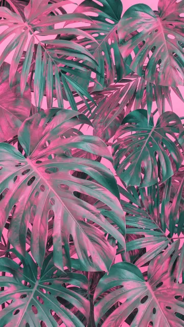 Overlapping monstera and palm leaves tinted teal and pink against a soft pink background