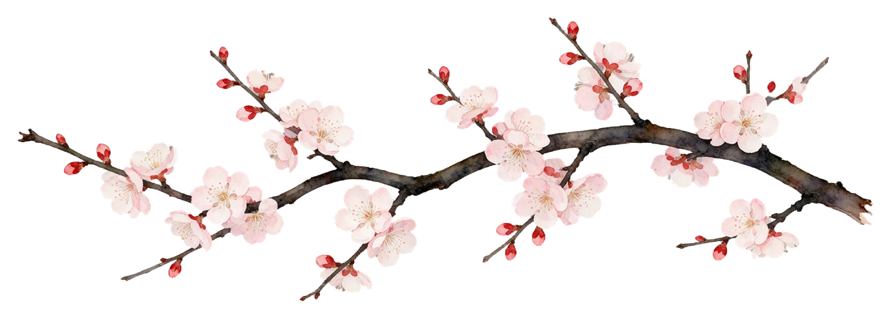 Delicate watercolor of a twisting plum branch with pink flowers and red buds