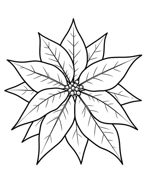 Bold black and white line art of a poinsettia flower on a plain white background