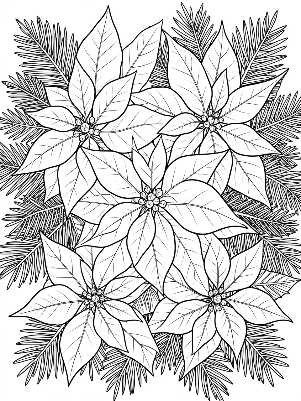 Black and white line art of clustered poinsettia blossoms surrounded by pine sprigs on a white background