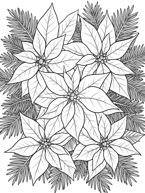 Black and white line art of clustered poinsettia blossoms surrounded by pine sprigs on a white background
