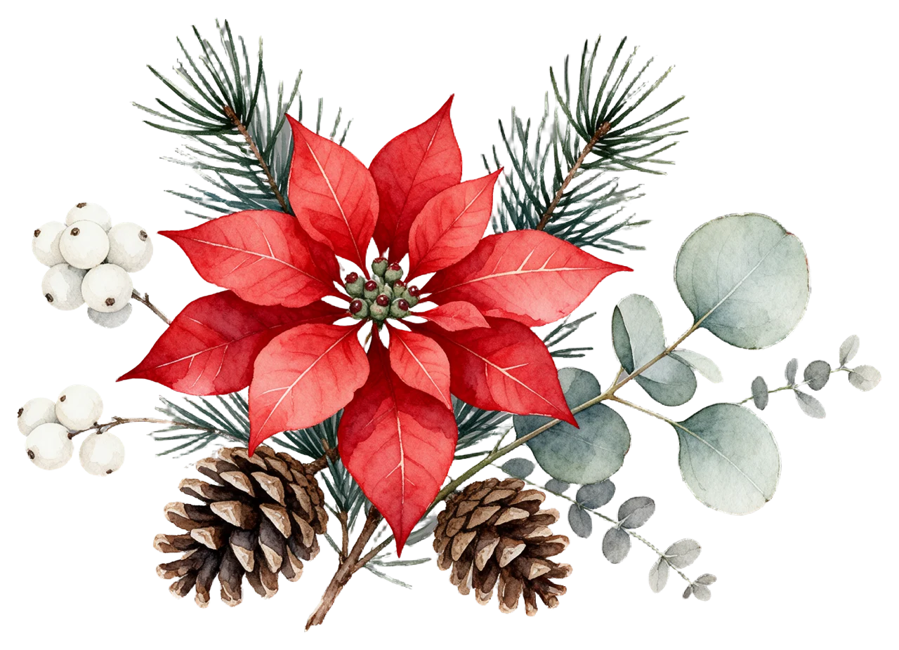 Watercolor arrangement of red poinsettia, pine sprigs, pinecones, snowberries and silver eucalyptus