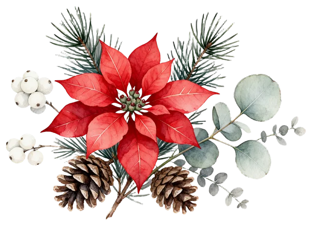 Watercolor arrangement of red poinsettia, pine sprigs, pinecones, snowberries and silver eucalyptus