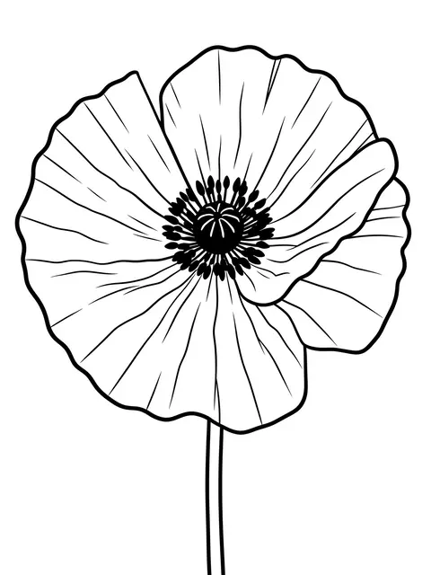 Black and white bold line art of a single poppy bloom on a plain white background