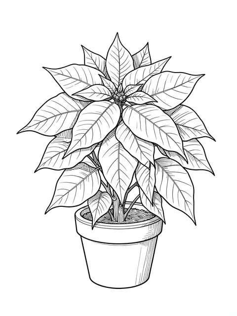 Fine line ink illustration of a potted poinsettia on a plain white background