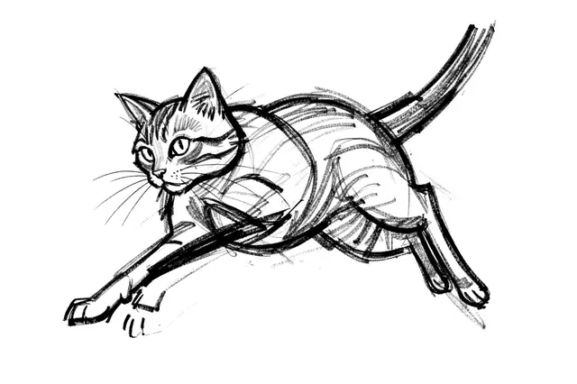 Loose bold charcoal sketch of a tabby cat mid-pounce on plain white paper