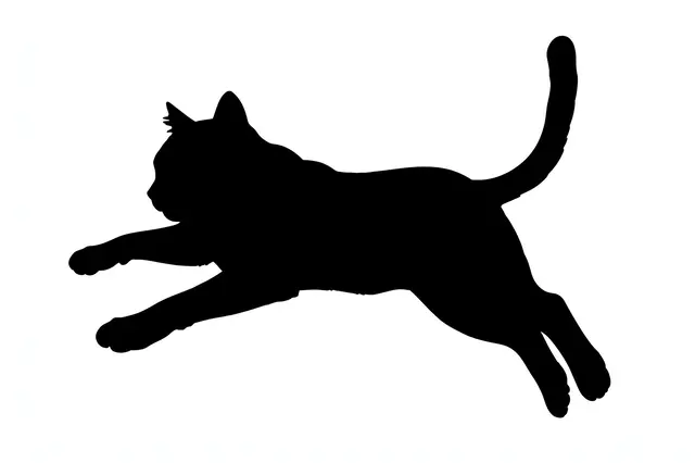 Solid black silhouette of a cat mid-leap with outstretched paws on a plain white background