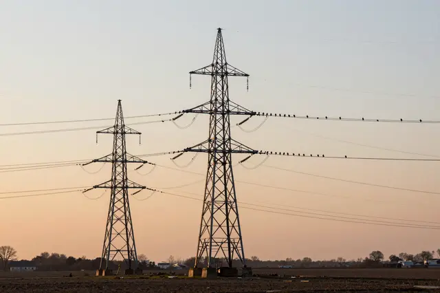 Two electricity transmission towers stand in a plowed field with birds perched on overhead wires during warm sunset