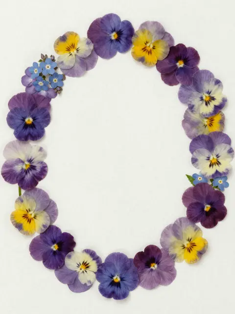 A top-down view of a circular wreath of pressed violas, pansies and forget-me-nots arranged on off-white cotton paper with