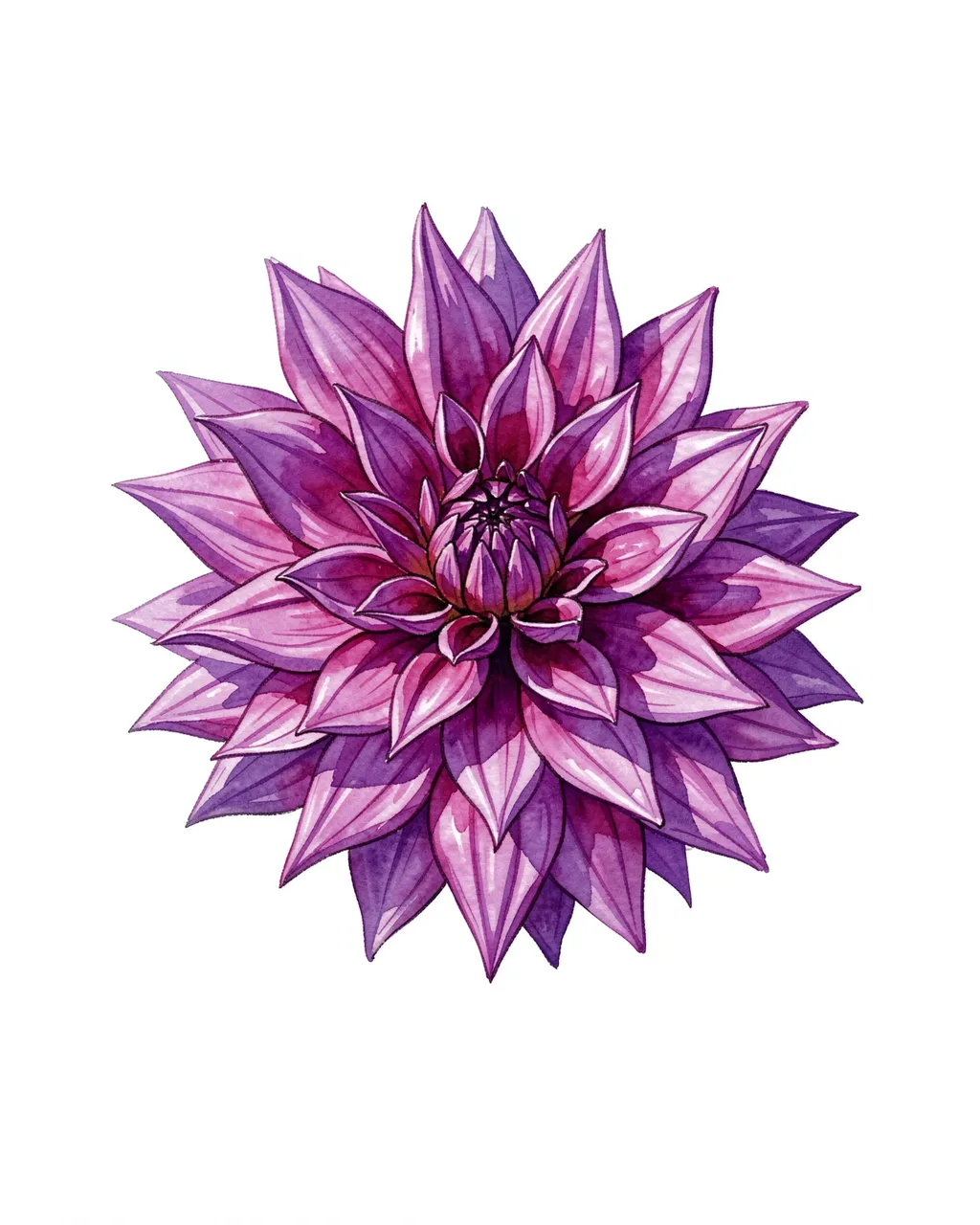 Detailed watercolor painting of a spiky purple dahlia set against a plain white background