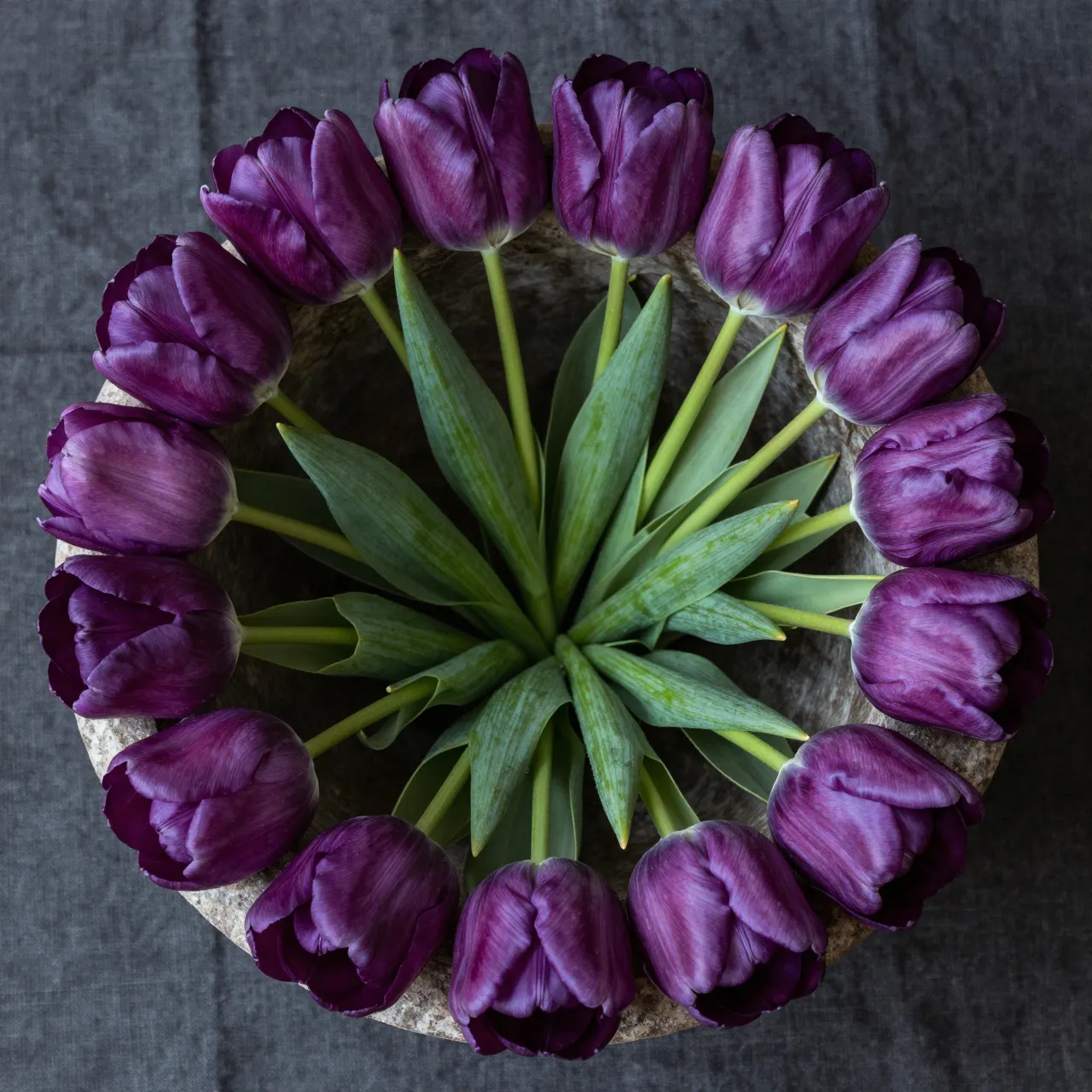 Top-down view of dark purple tulips arranged in a circle inside a low stone bowl on dark linen