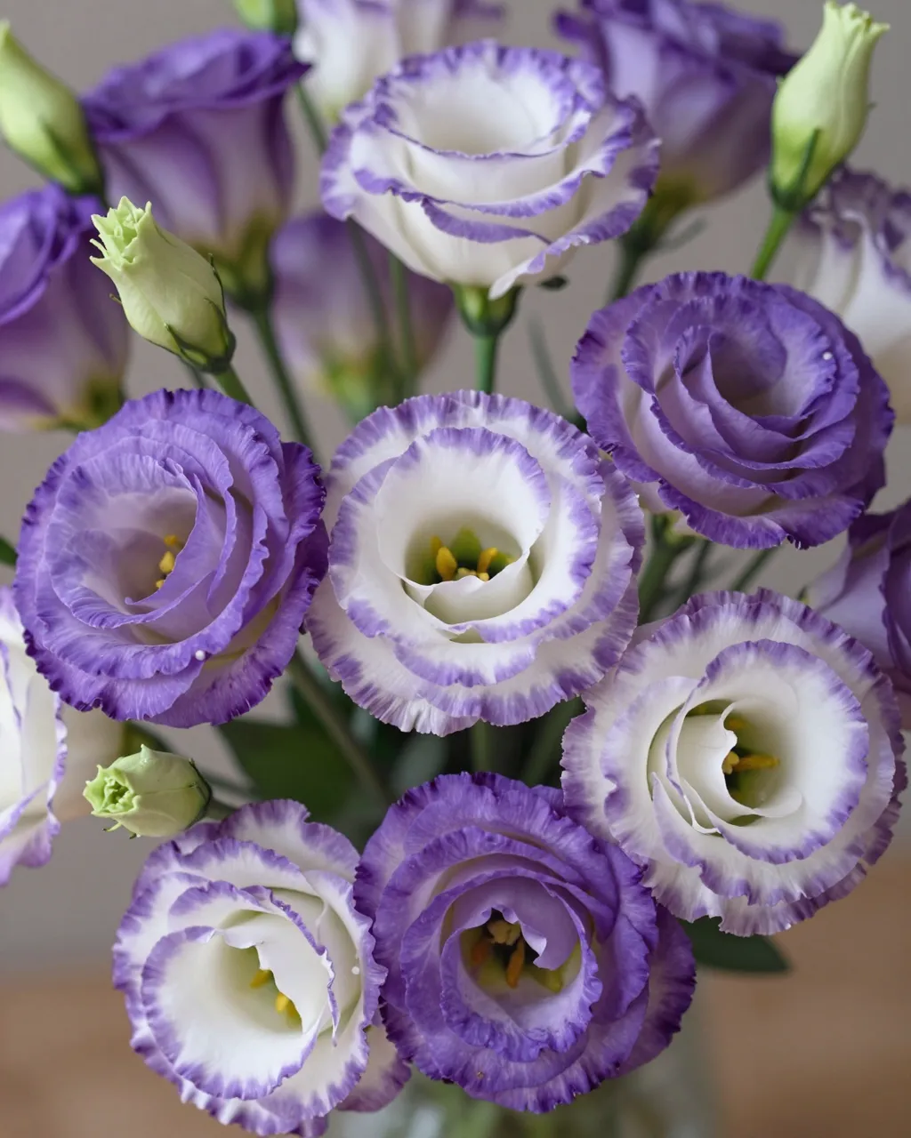 Close-up of a bouquet of ruffled purple and white lisianthus flowers with unopened green buds