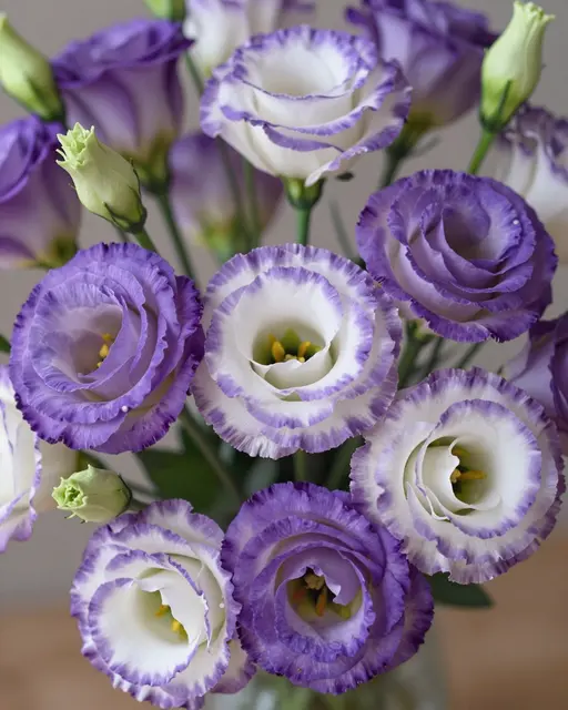 Close-up of a bouquet of ruffled purple and white lisianthus flowers with unopened green buds