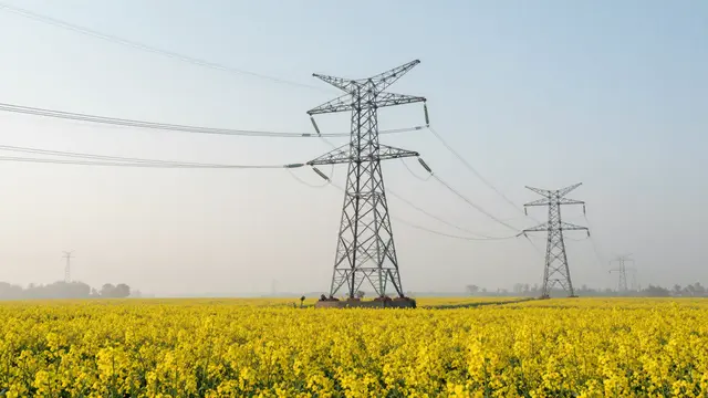 Electricity transmission pylons stand across a bright yellow rapeseed field in soft morning mist