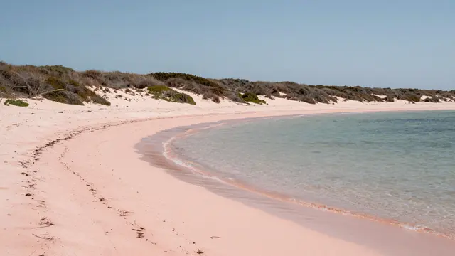 A calm curved cove of pale pink sand sits beside clear shallow turquoise water under hazy skies, backed by scrubby sand