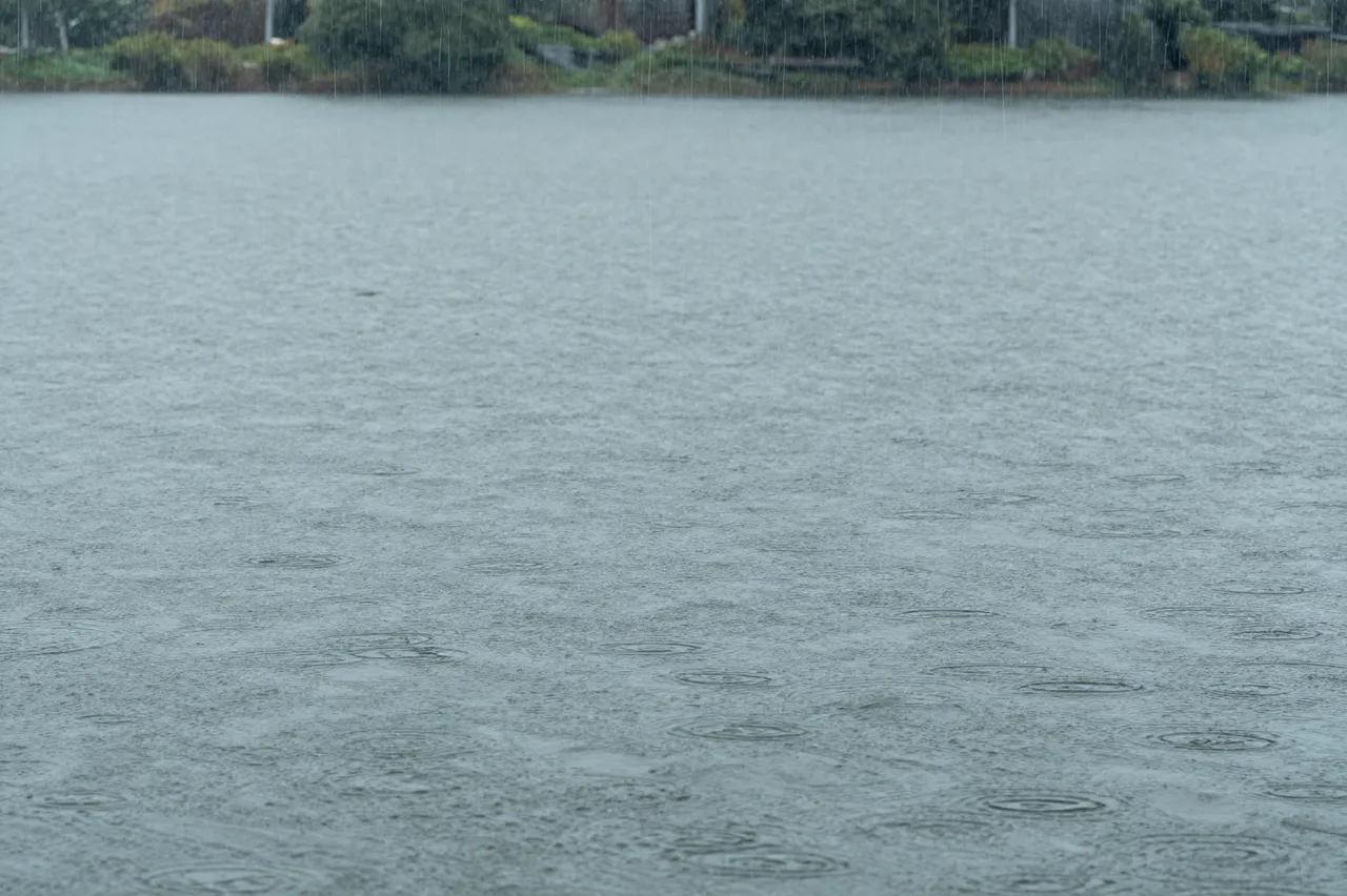 Raindrops create ripples across a calm lake surface, with mist and shoreline vegetation visible in the distance.