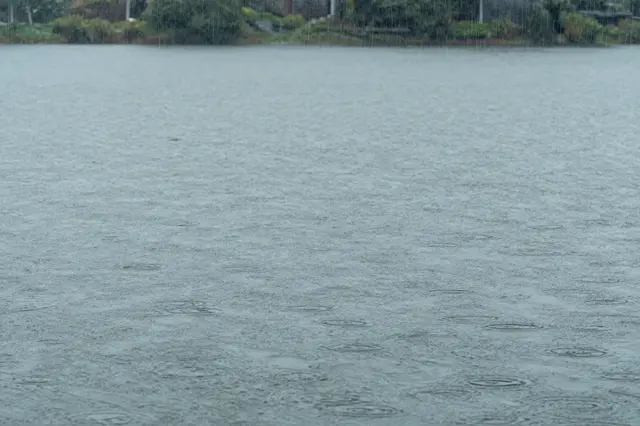 Raindrops create ripples across a calm lake surface, with mist and shoreline vegetation visible in the distance.