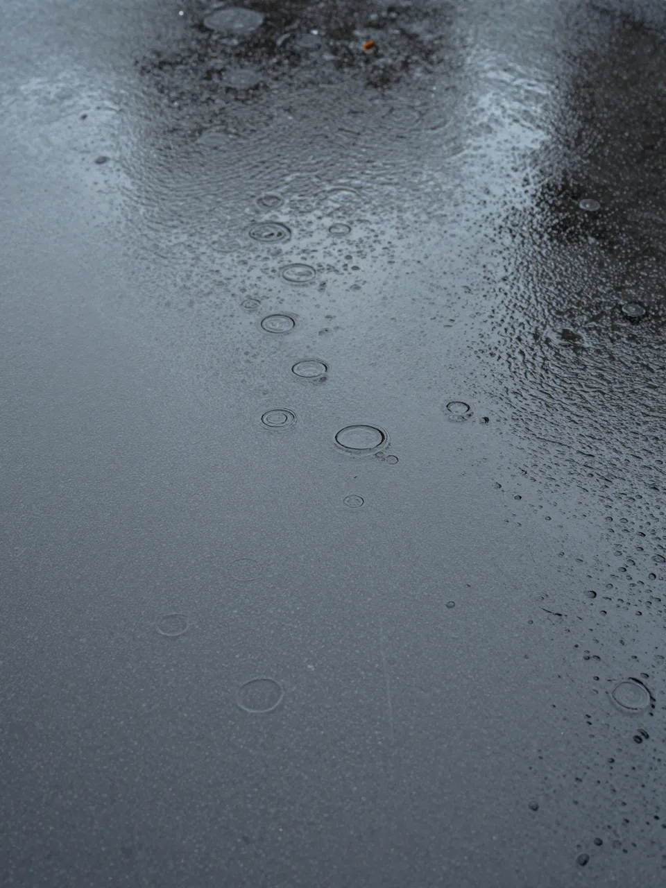 Top down close-up view of spreading raindrop rings across a dark wet puddle surface under soft light