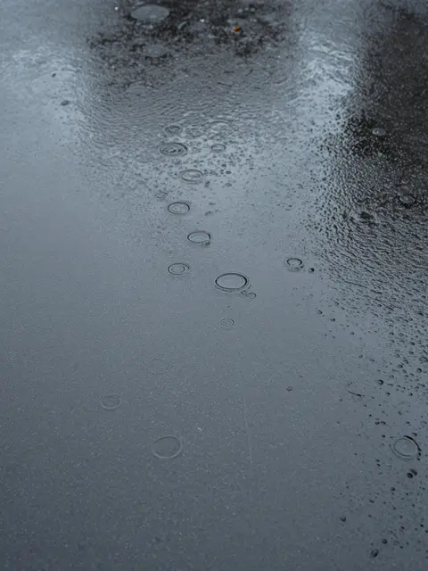 Top down close-up view of spreading raindrop rings across a dark wet puddle surface under soft light
