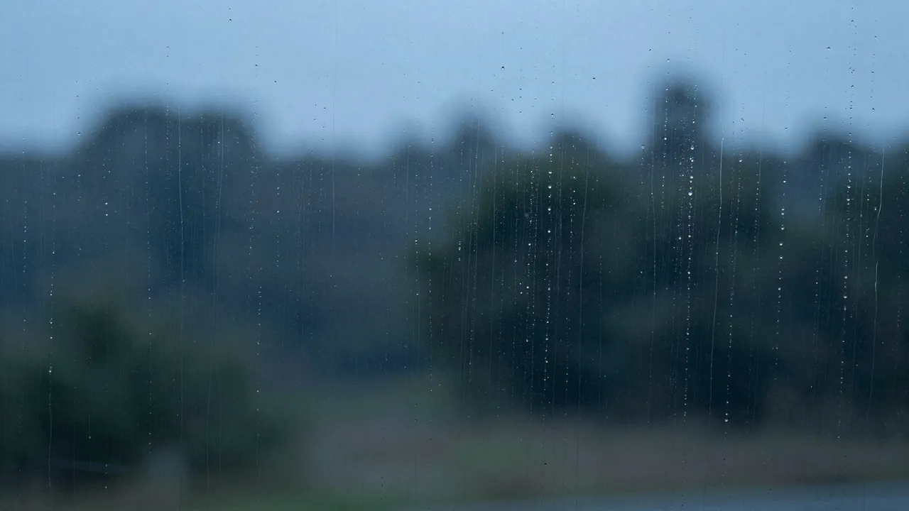Vertical rain streaks and droplets on glass frame a blurred forest view in soft blue dusk light