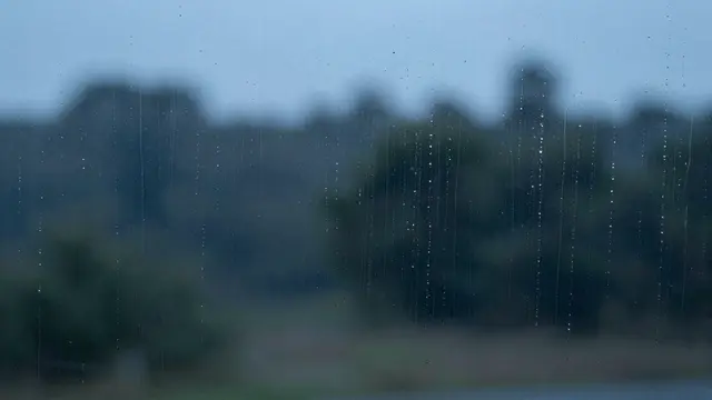 Vertical rain streaks and droplets on glass frame a blurred forest view in soft blue dusk light