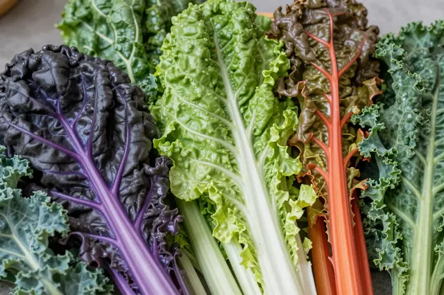 Close-up of fresh multi-stemmed rainbow chard leaves mixed with curly kale foliage