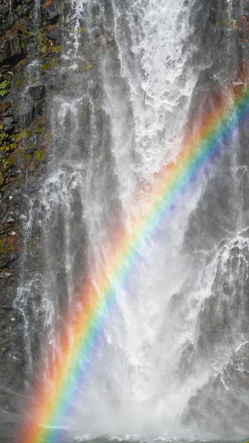 A bright diagonal rainbow cuts across misty cascading waterfall water over mossy dark rock.