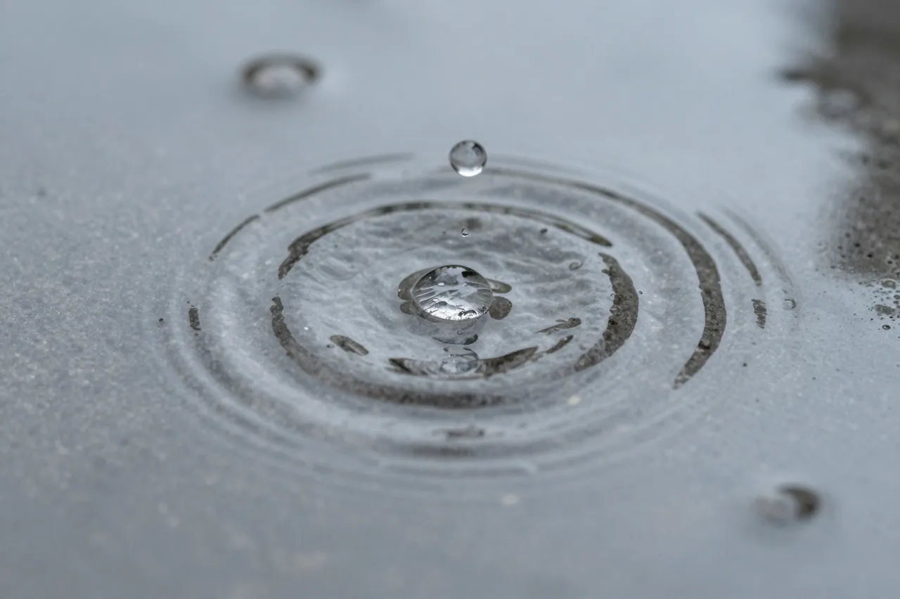 Close-up view of falling raindrops creating concentric ripples across a damp puddle surface