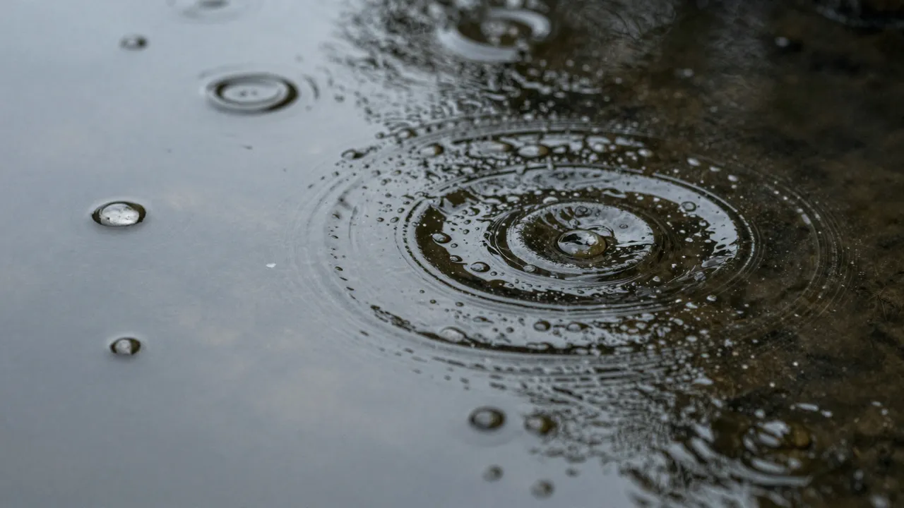 Raindrops strike a dark still water surface, spreading concentric circular ripples outward.