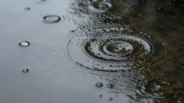 Raindrops strike a dark still water surface, spreading concentric circular ripples outward.