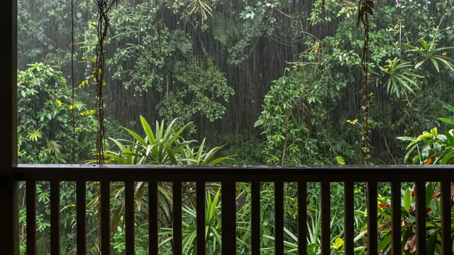 View from a wooden balcony looking out over a lush rainforest during a heavy rainfall with hanging vines