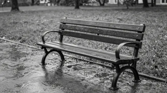 A lone wet park bench sits beside puddled pavement during heavy rainfall in a park