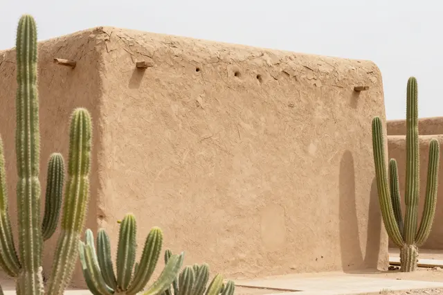 Rammed earth adobe building surrounded by tall saguaro cacti under a bright pale desert sky