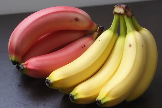 Bunches of red and yellow bananas sit side by side on a dark smooth table surface